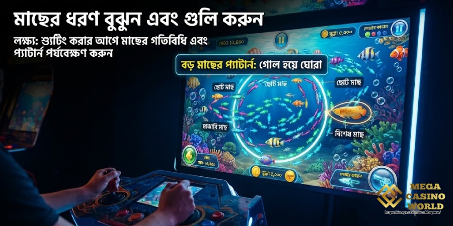 মাছের প্যাটার্ন বুঝুন